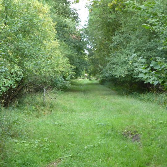 Clipsham Old Quarry and Pickworth Great Wood