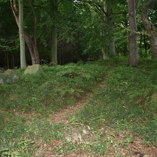 Quellsumpf Ziegensteine bei Groß Stresow