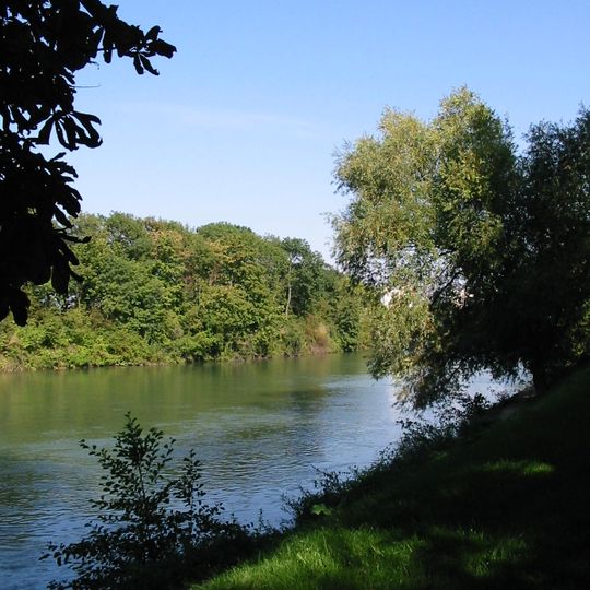 Marne