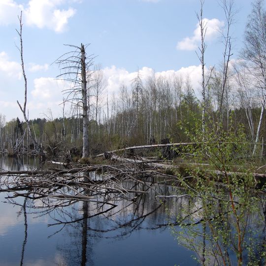 Kulzer Moos NW von Thanstein
