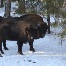 Klyazminsko-Lukhsky Zakaznik