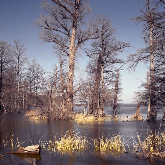 Reelfoot Lake