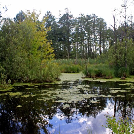 Shatski lakes
