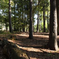 U císařské studánky