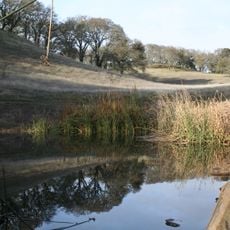 Augustin Bernal Park