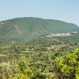Monte Calvi