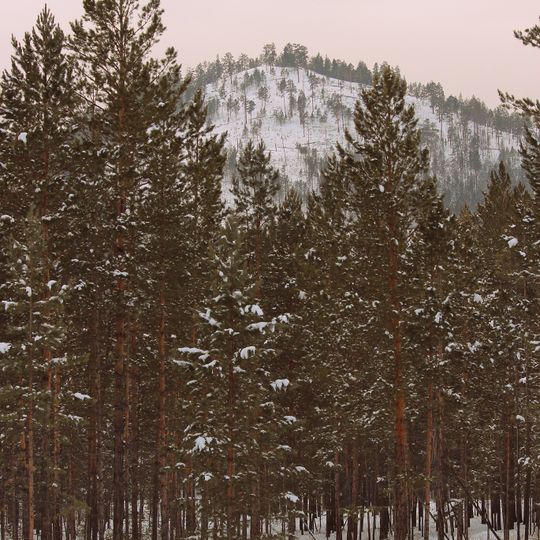 Варварина Гора