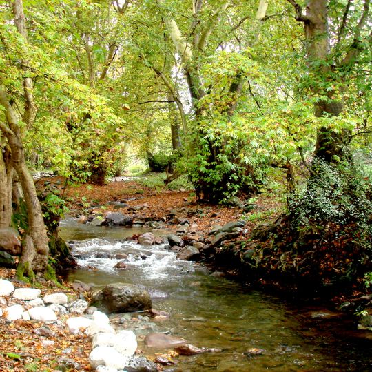 Plane Grove Sanctuary