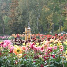 Dahliengarten