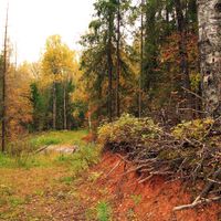 Pashskoye rural settlement
