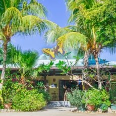 The Butterfly Farm