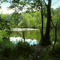 Langesee