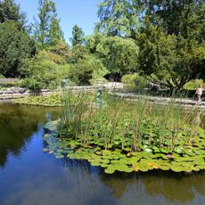 Japanese Garden
