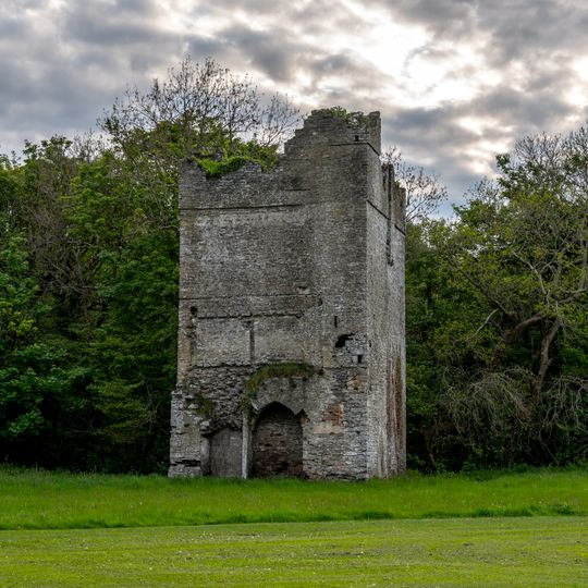 Newbridge Demense Castle