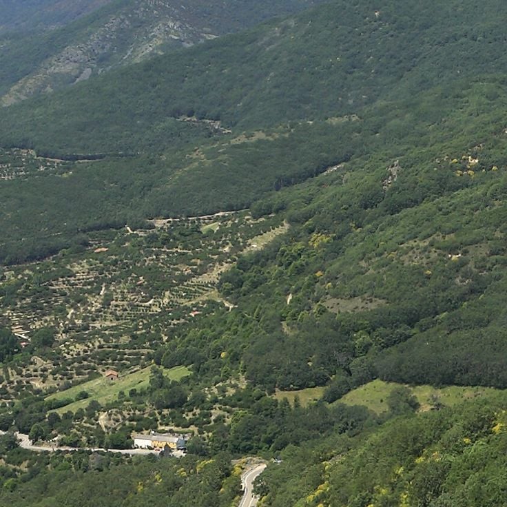 Valle del Jerte
