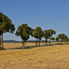 Straßenstück der L8065, KG Alberndorf