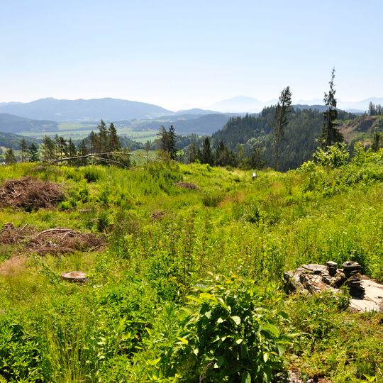Urgeschichtliche Höhensiedlung Ottilienkogel