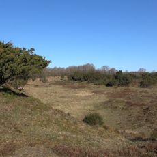 Dünen am Rimmelsberg
