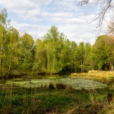 Wolbecker Tiergarten