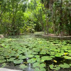 Jardín Botánico Regional "Roger Orellana"