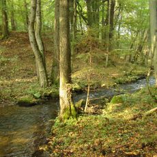 Nature reserve Krzemieńskie Źródliska