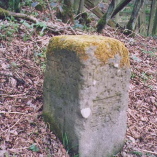 Guidestone, Bilsdale, near Low Mill