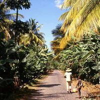 contea di São Domingos