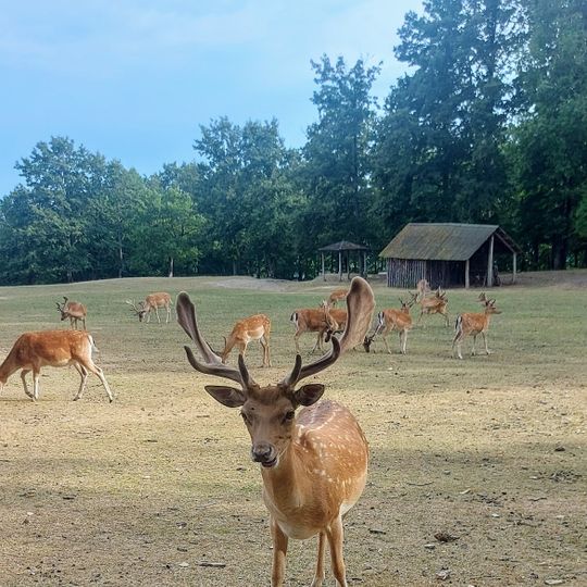 Parco Faunistico Ranco Spinoso