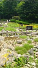 Rokko Alpine Botanical Garden