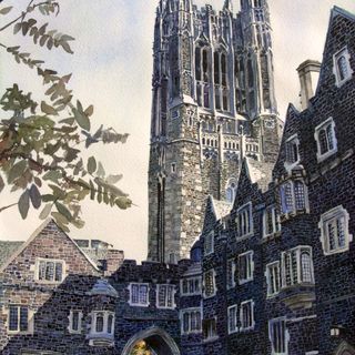 Princeton-universiteit