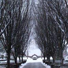 Sorgenfri Cemetery