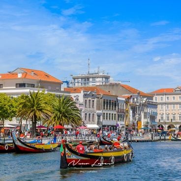 Midden van Portugal: historische plekken, dorpen en natuur tussen berg en oceaan