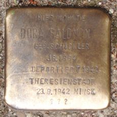 Stolperstein dedicated to Dora Salomon