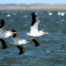 Chase Lake National Wildlife Refuge