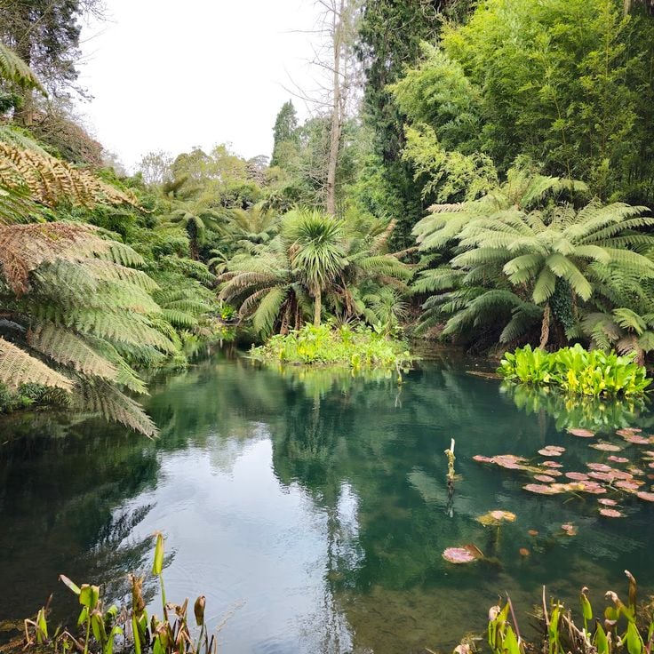 The Lost Gardens of Heligan