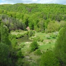 Trimberg bei Reichensachsen