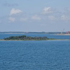 Masnedø Kalv