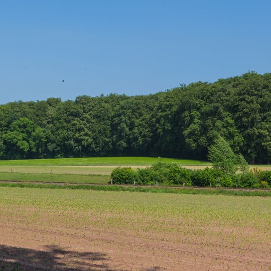 Landschaftsschutzgebiet Gabelin, Werser Holz