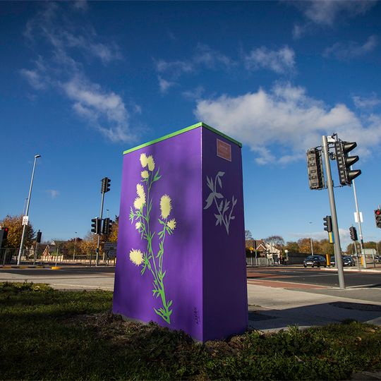 The Butterfly Effect