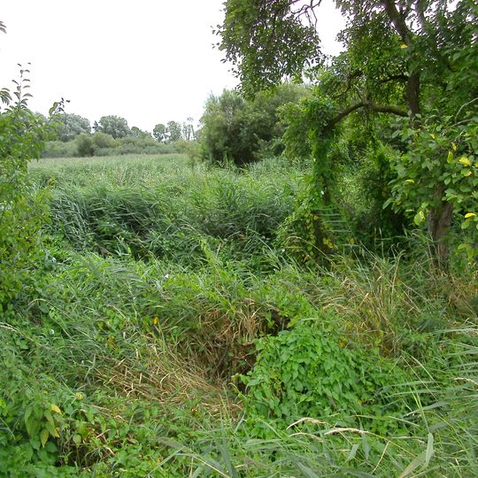 Schilf- und Wasserfläche Krautsand/ Ostende