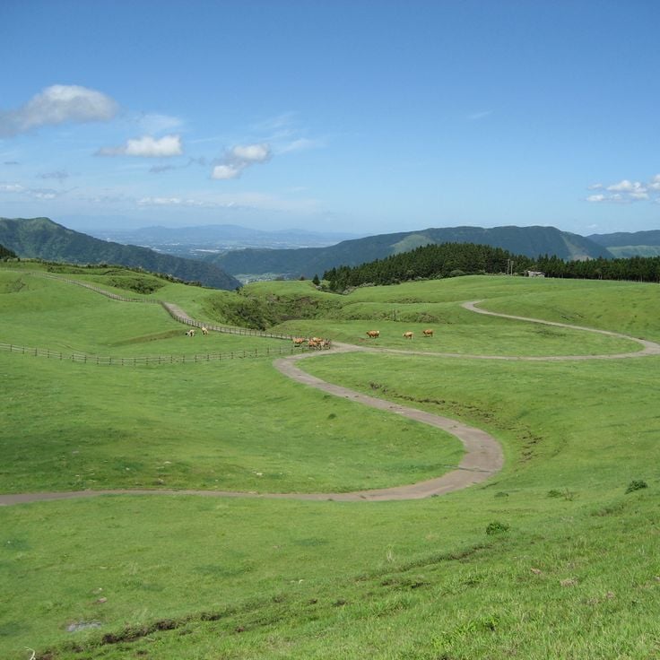 Kusasenri