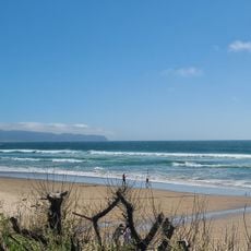 Oceanside Beach State Recreation Site