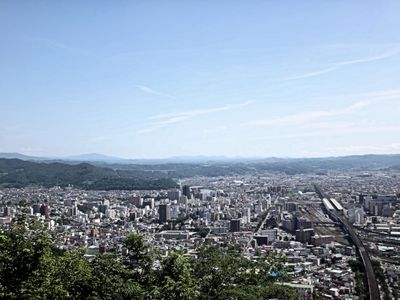 The view 2