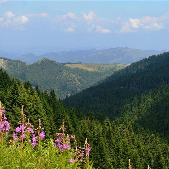 Parco nazionale di Kopaonik