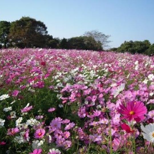 Kumamoto City Zoological and Botanical Gardens