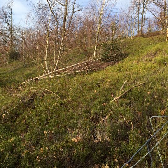 Niederwald Recklinghausen