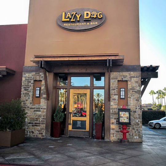 Lazy Dog Restaurant & Bar