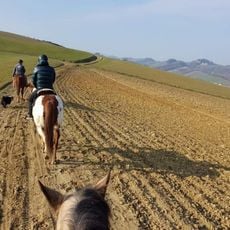 Crinale dell'Appennino parmense