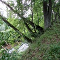 Stārastu pilskalns