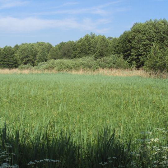 Mokřady horní Liběchovky